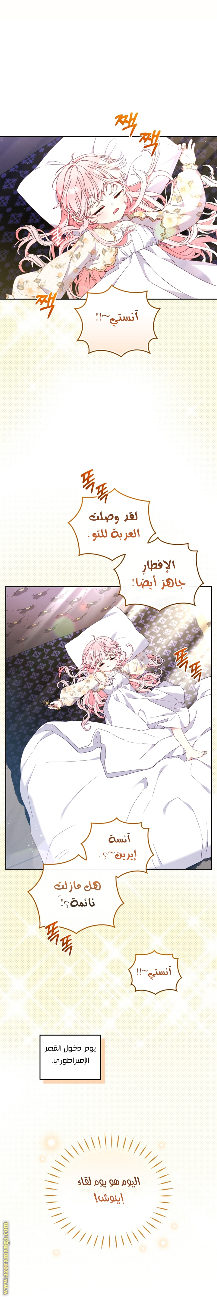 الصفحة 19