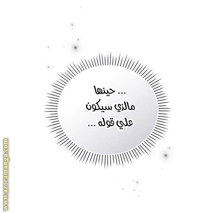 الصفحة 30