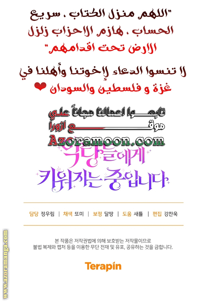 الصفحة 41