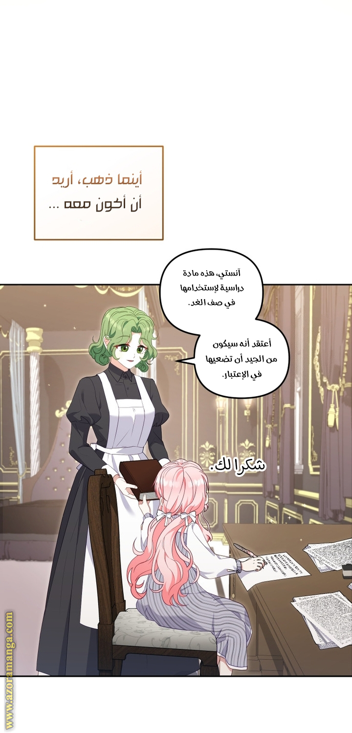 الصفحة 17