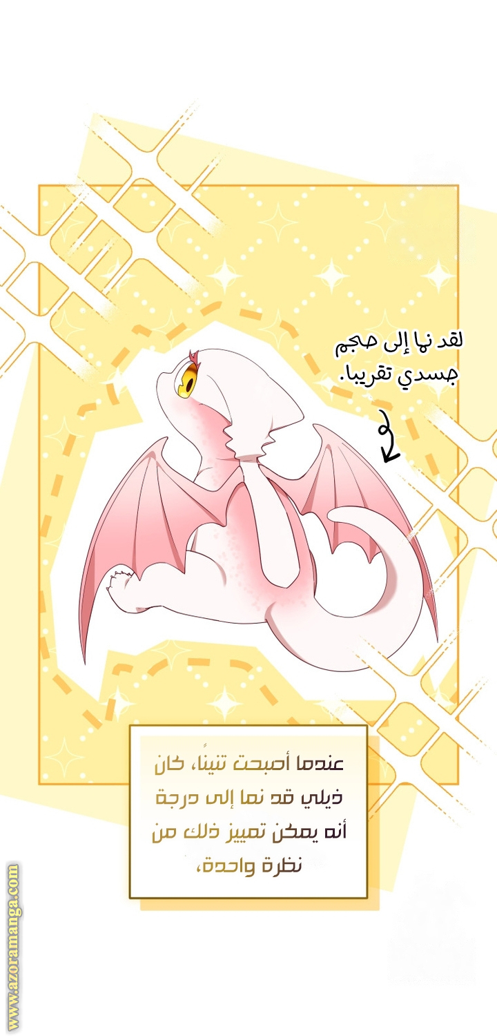 الصفحة 26