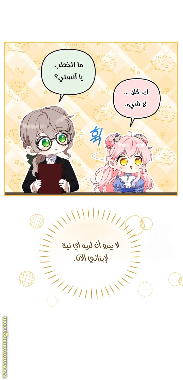 الصفحة 31