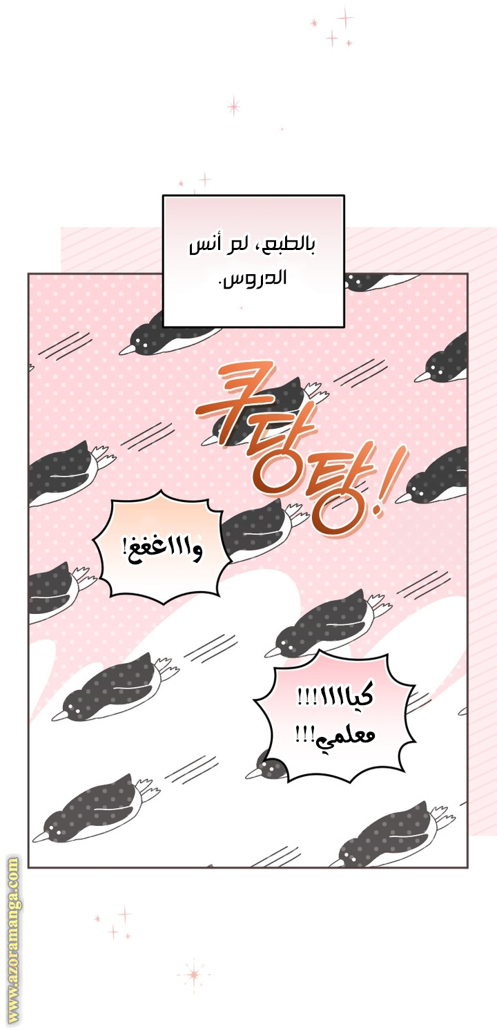 الصفحة 34