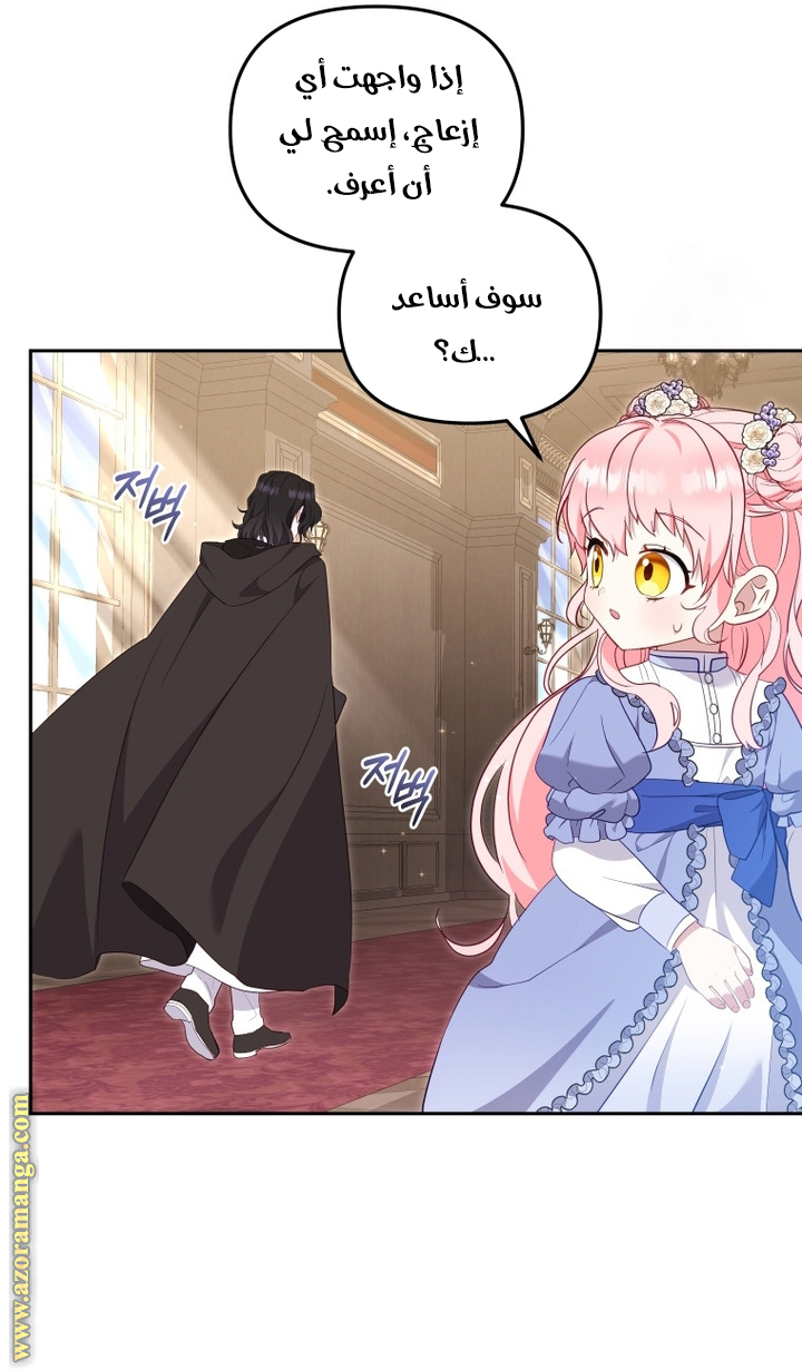 الصفحة 42