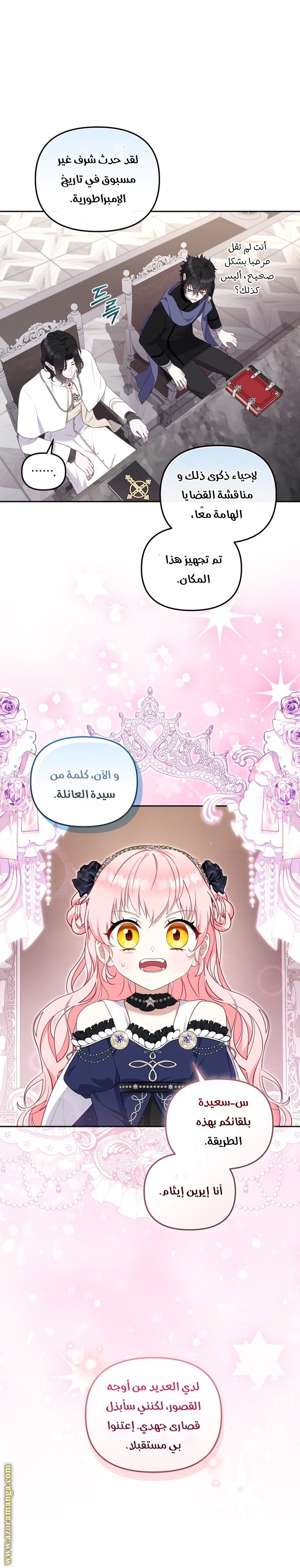 الصفحة 11