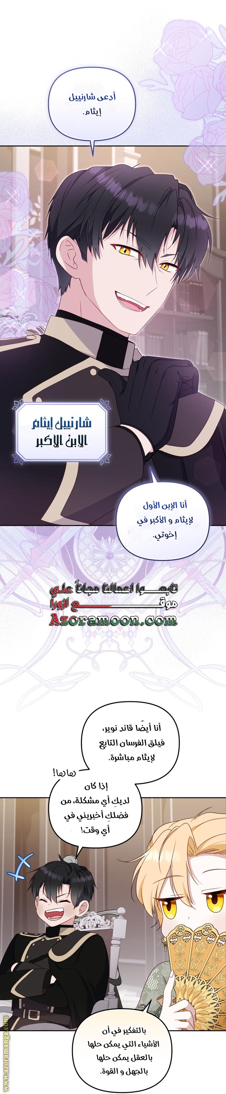 الصفحة 13