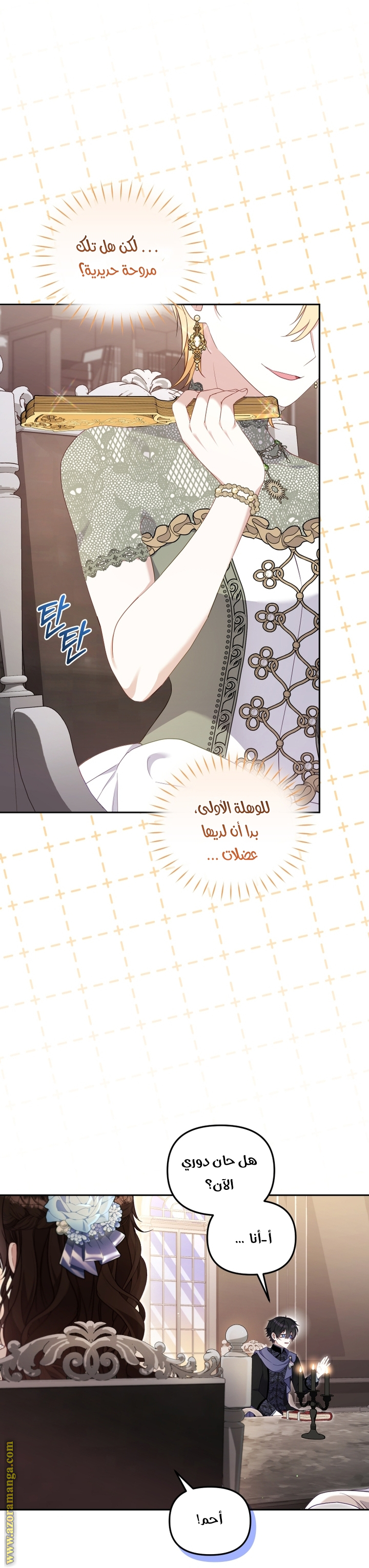 الصفحة 17