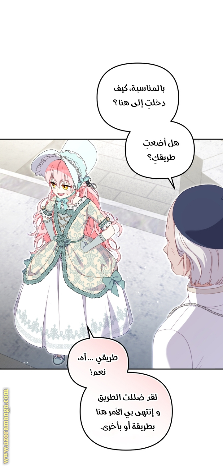الصفحة 39
