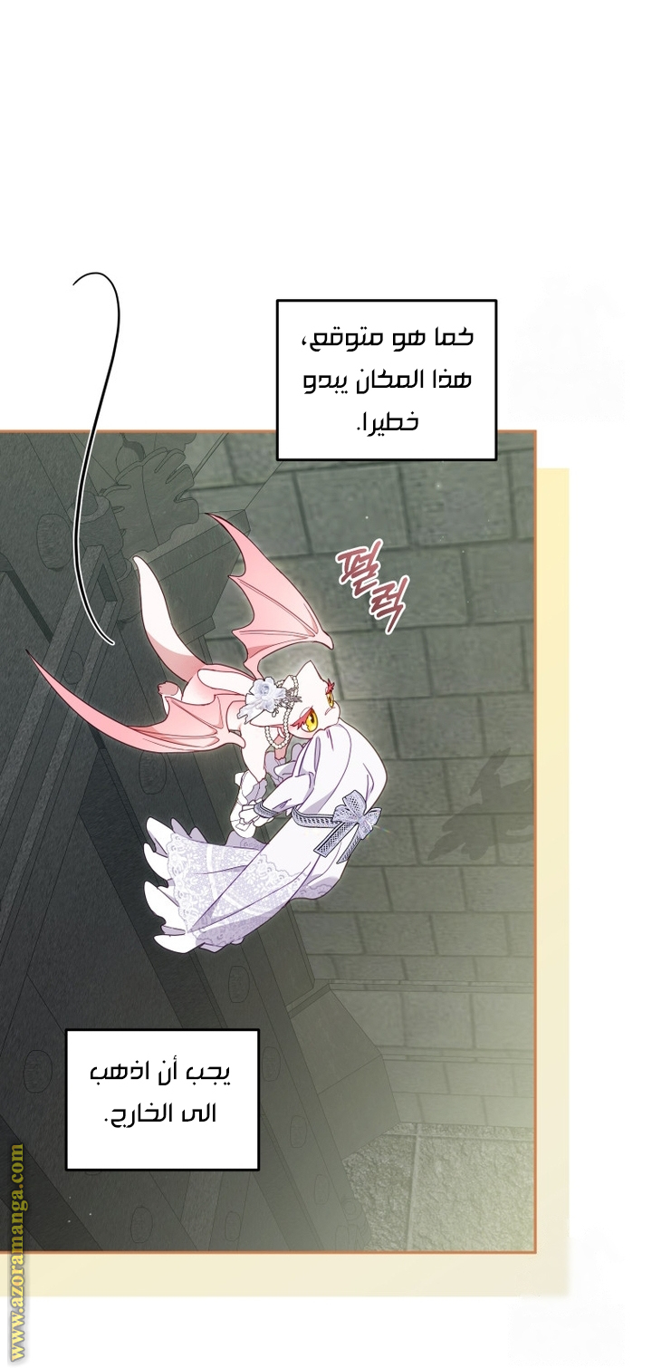 الصفحة 17