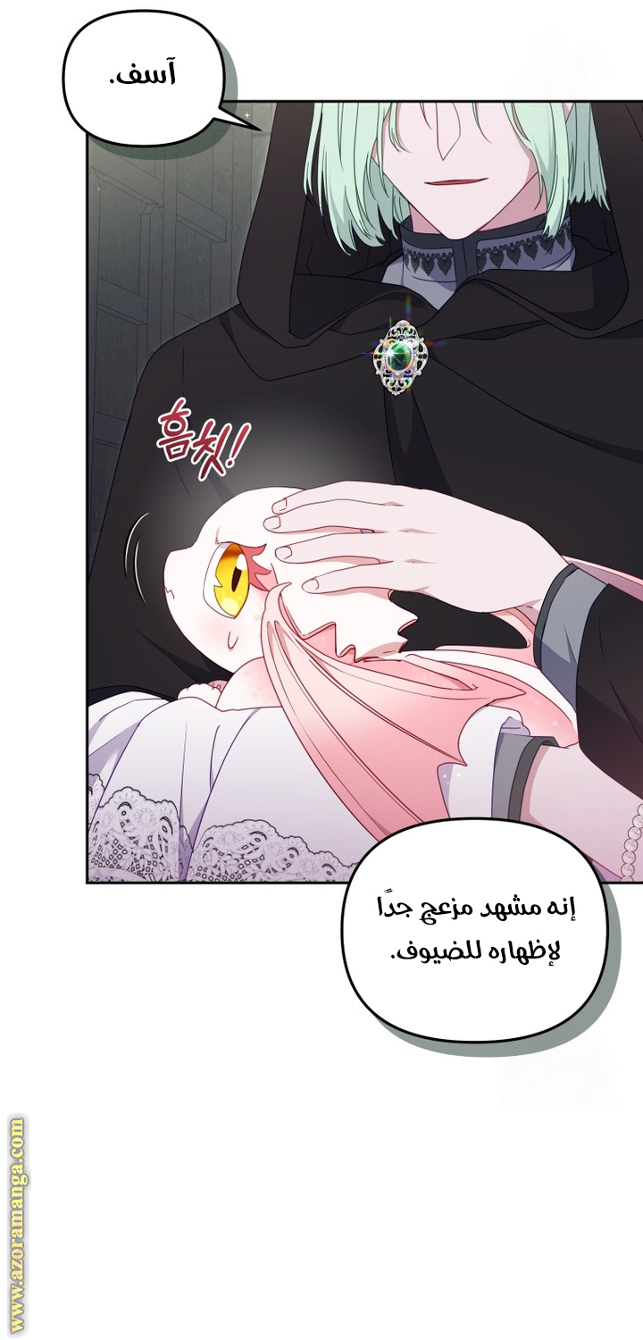 الصفحة 29