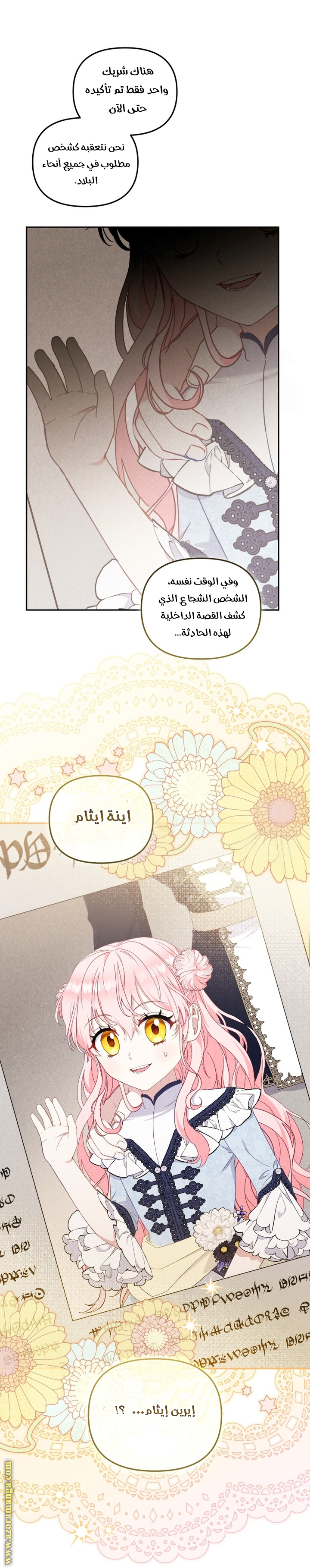 الصفحة 29