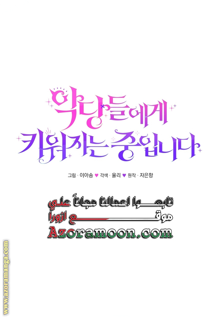 الصفحة 28