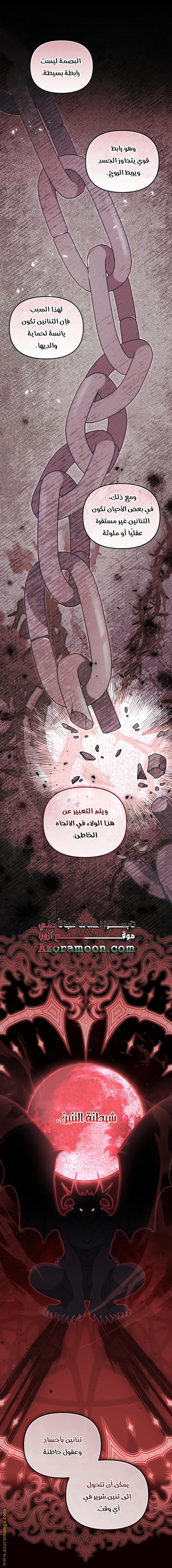 الصفحة 17