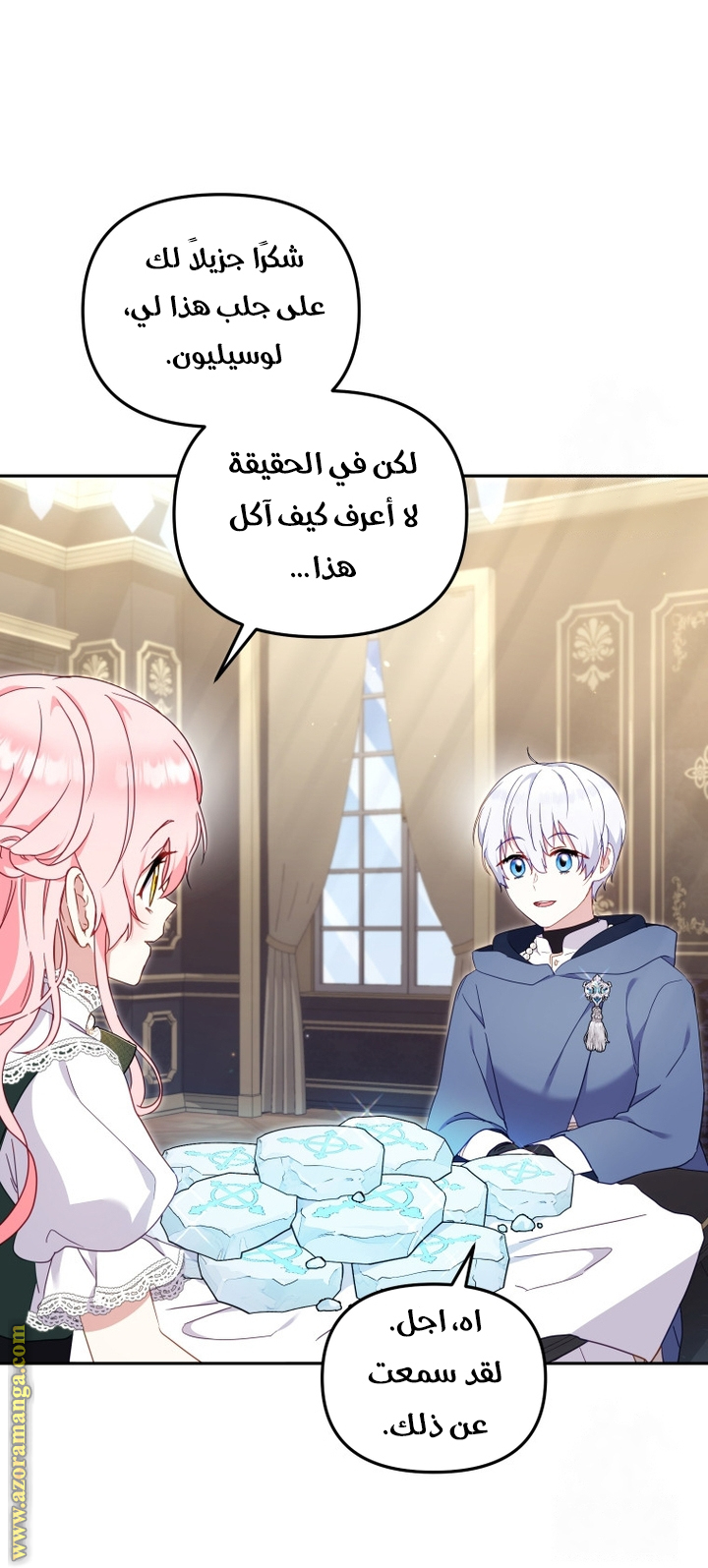 الصفحة 29