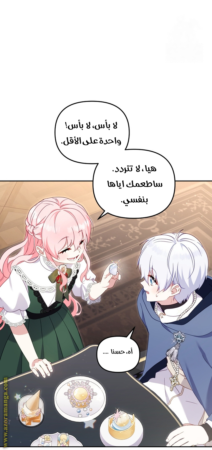 الصفحة 47