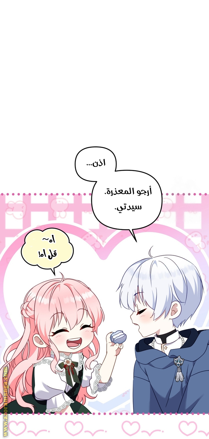 الصفحة 48