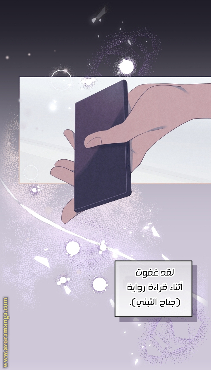 الصفحة 20