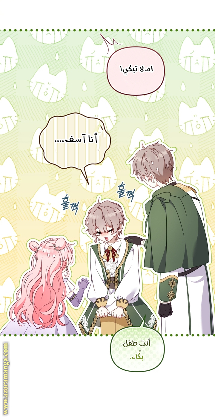 الصفحة 17