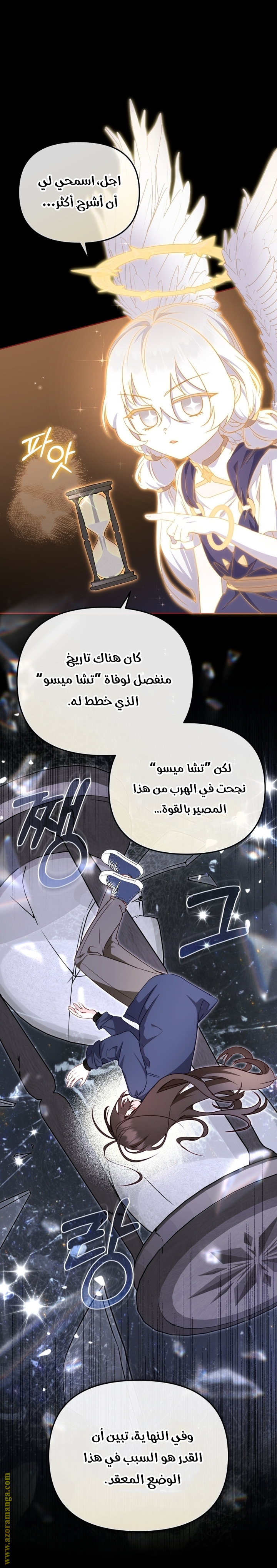الصفحة 29