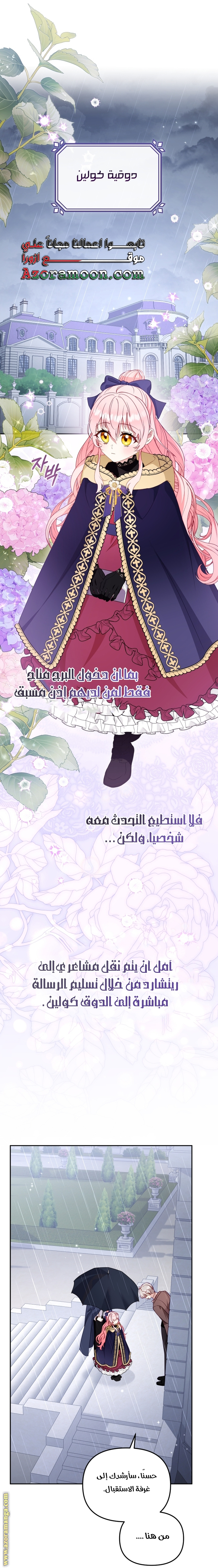 الصفحة 25