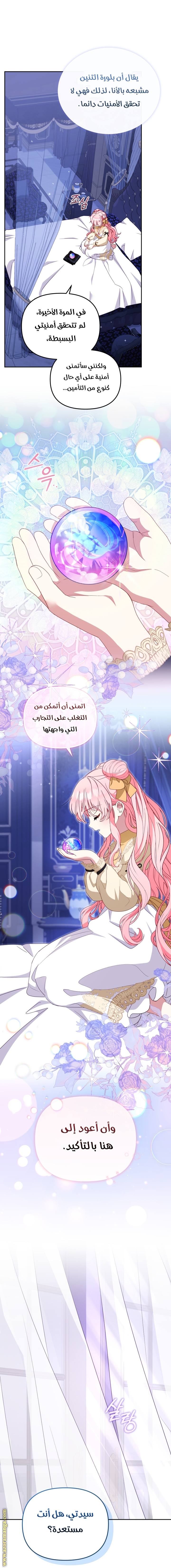 الصفحة 39