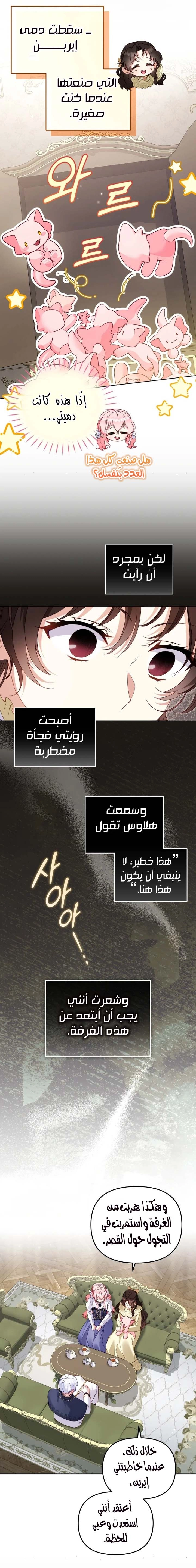 الصفحة 17