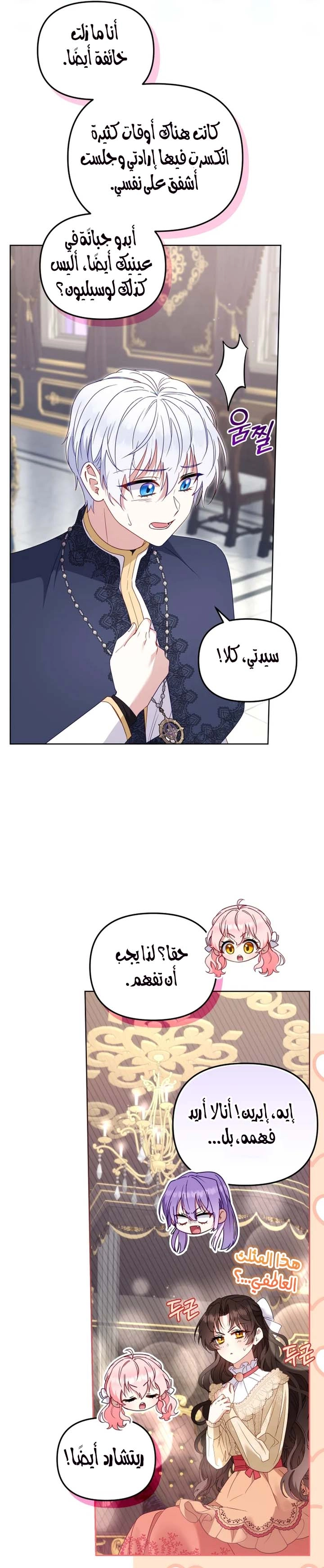 الصفحة 17