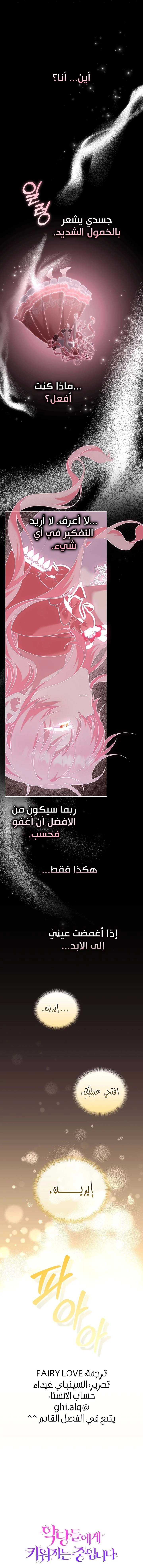 الصفحة 19