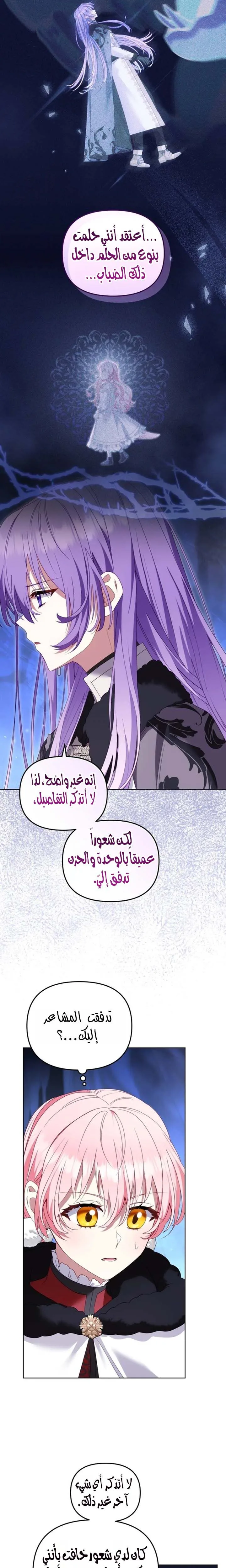 الصفحة 25