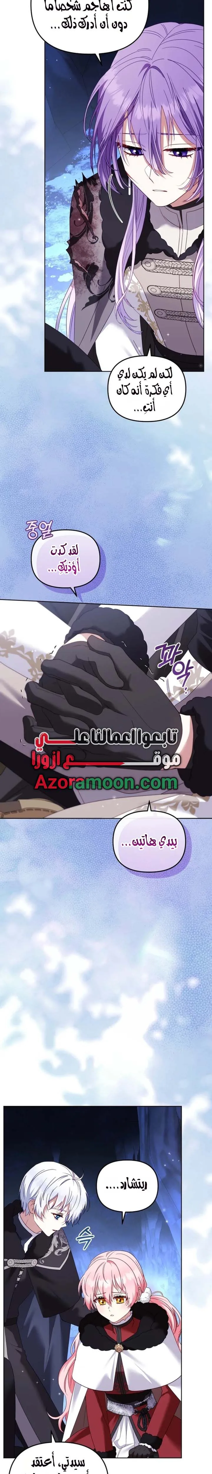 الصفحة 26