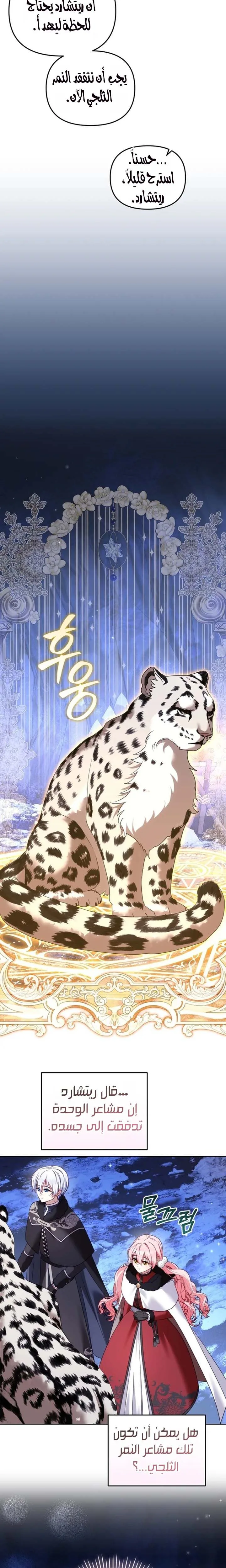 الصفحة 27