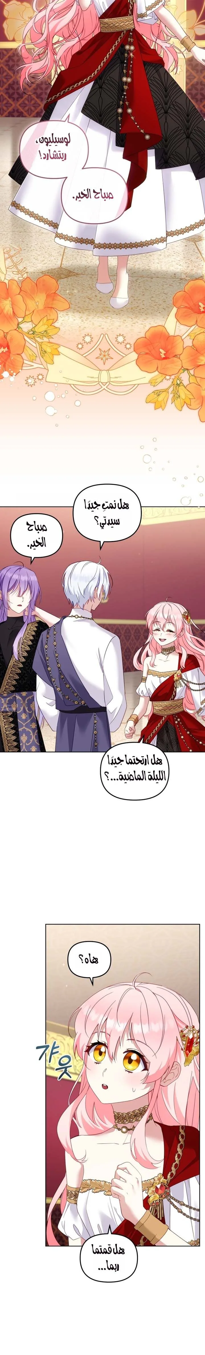 الصفحة 25