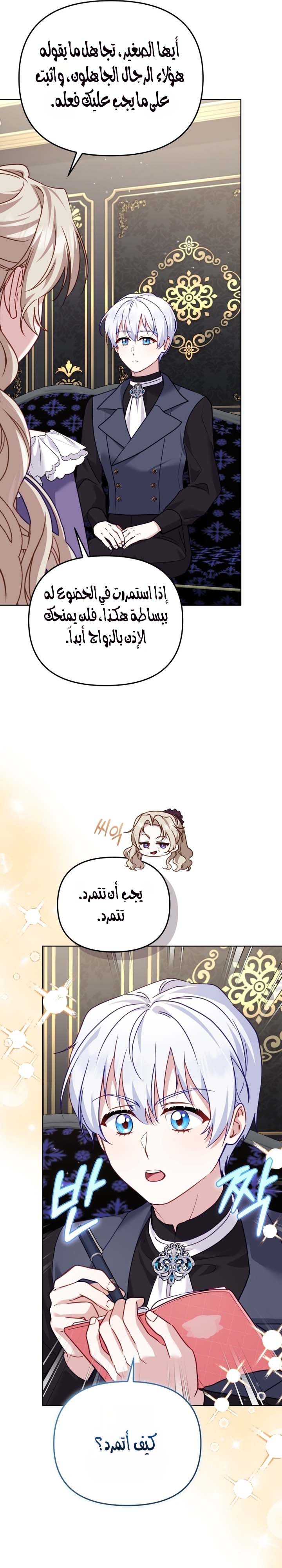 الصفحة 13
