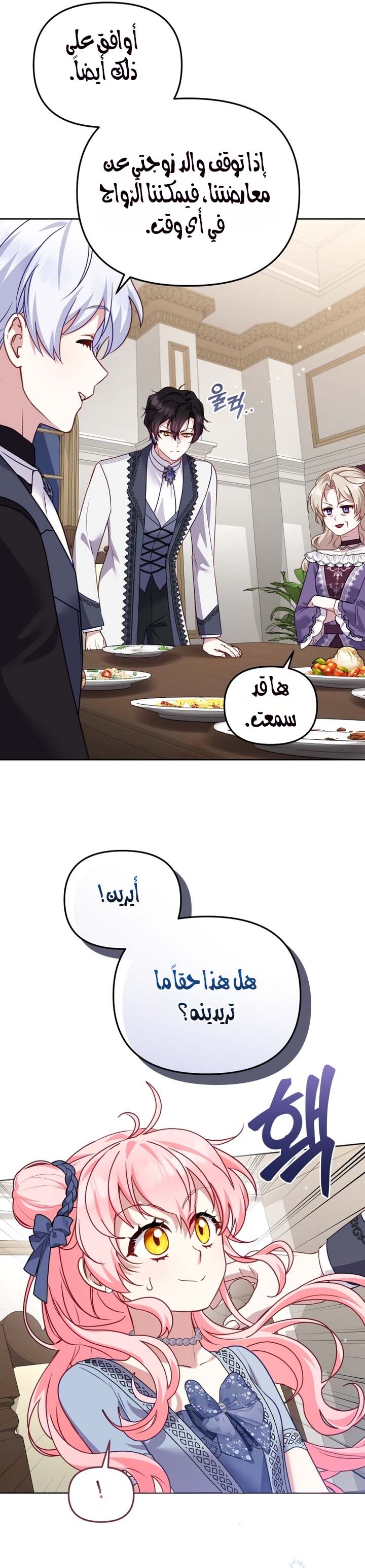 الصفحة 24