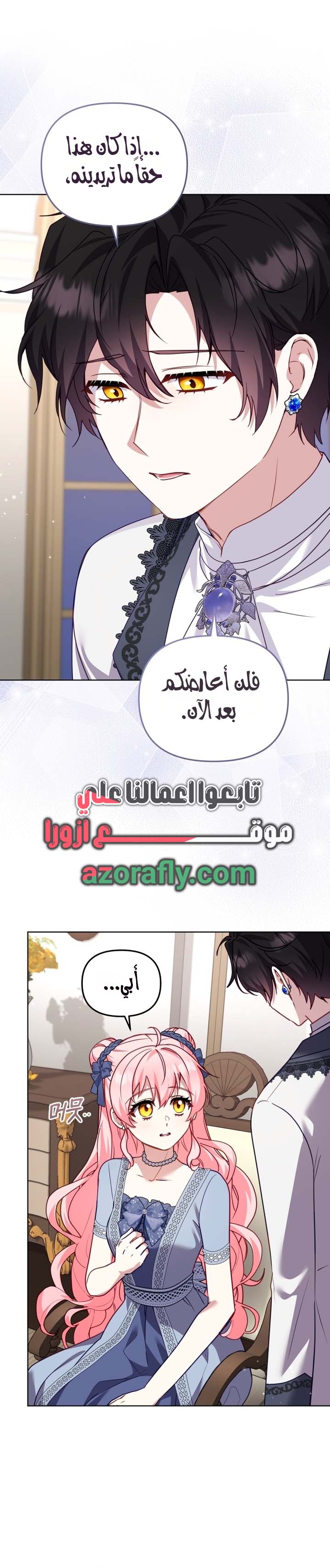 الصفحة 26