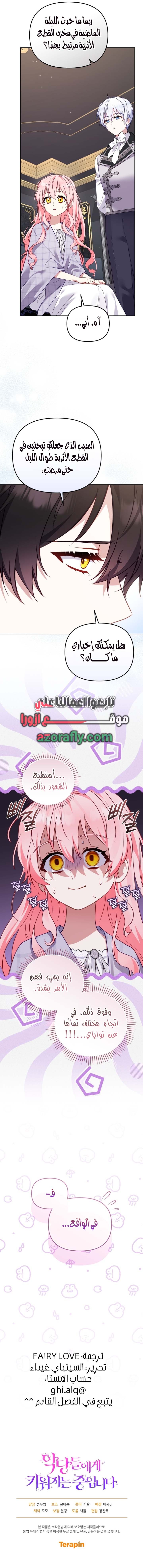 الصفحة 11