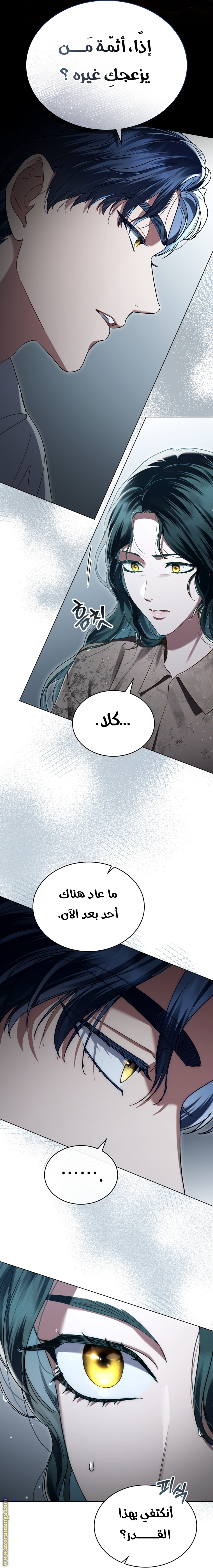 الصفحة 21