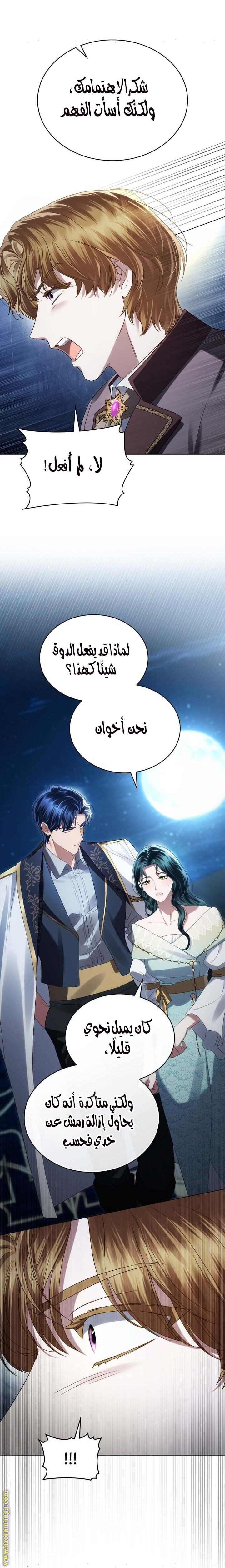 الصفحة 17