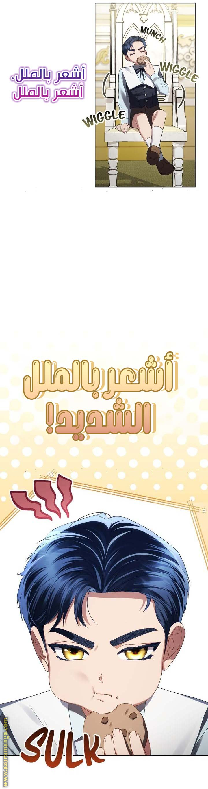 الصفحة 16