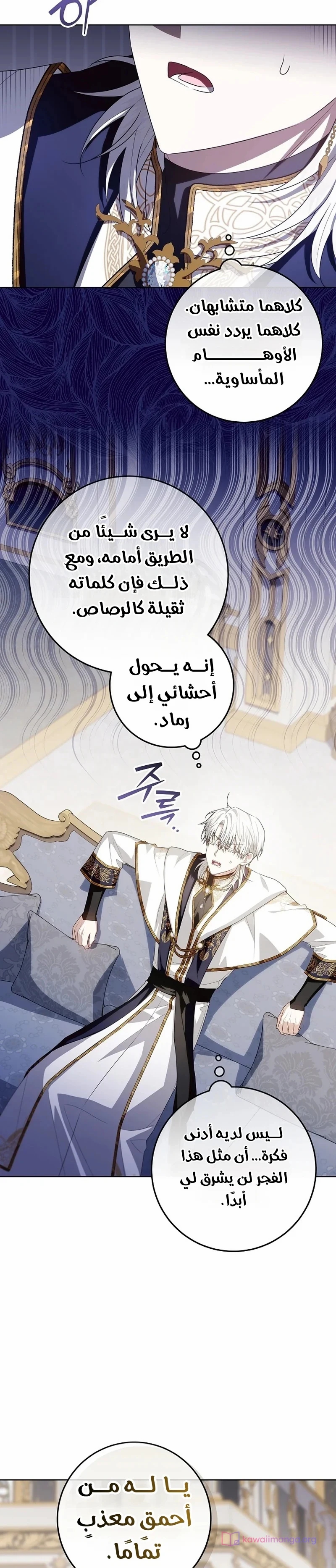 الصفحة 17