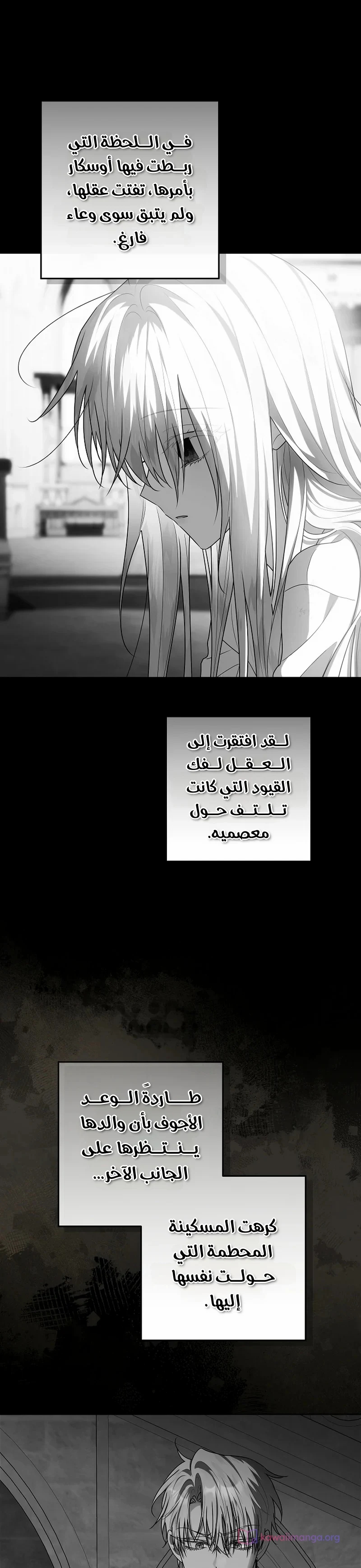 الصفحة 24