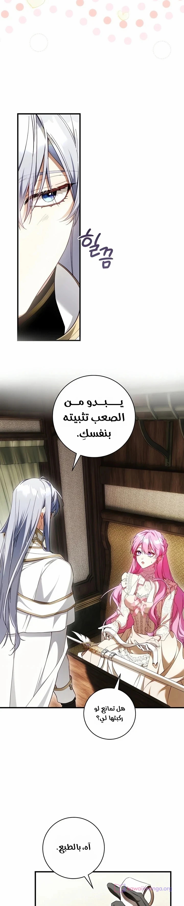 الصفحة 25