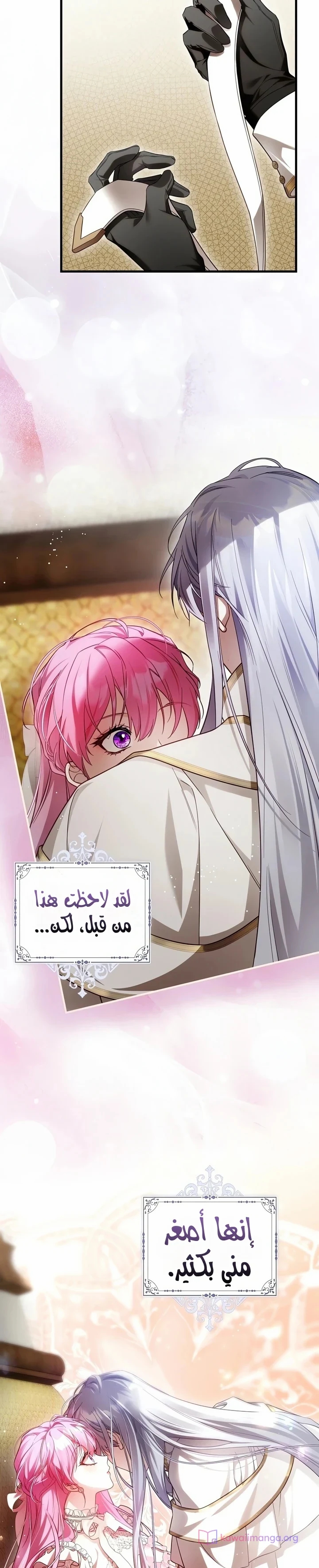 الصفحة 26