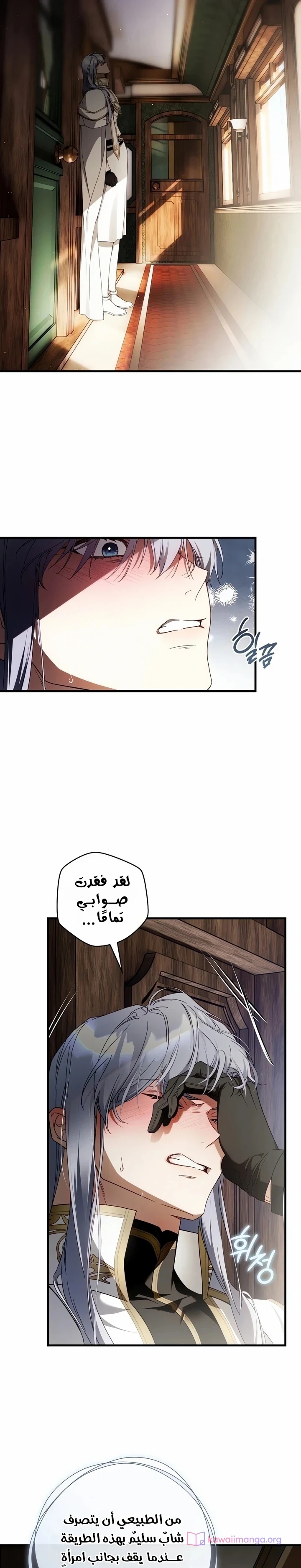الصفحة 29