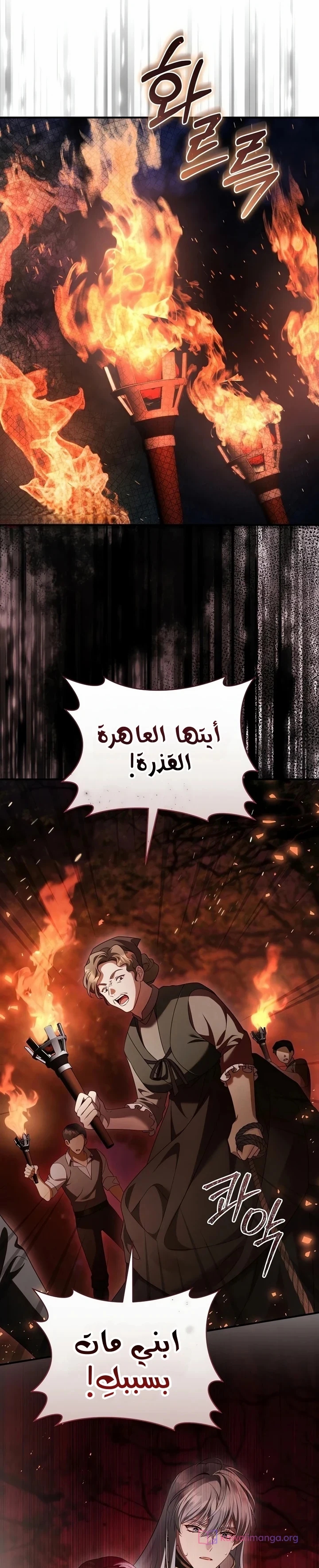 الصفحة 46
