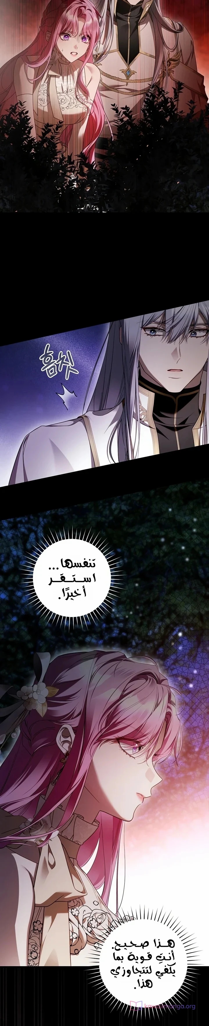 الصفحة 47