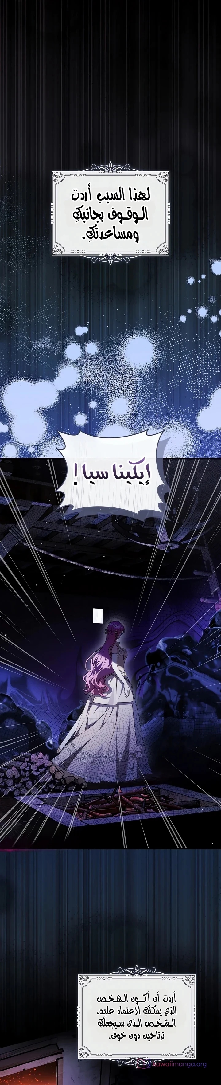 الصفحة 48