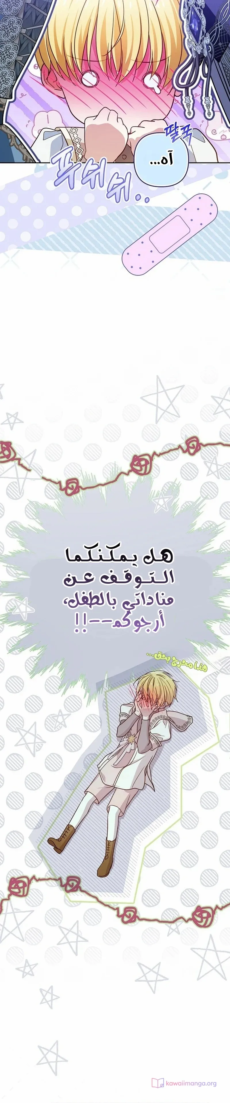الصفحة 17