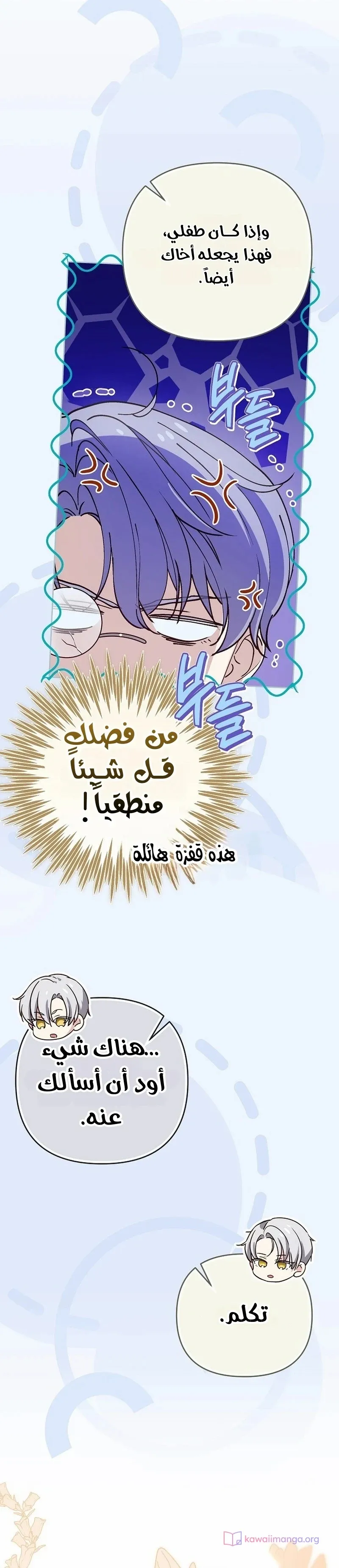 الصفحة 25