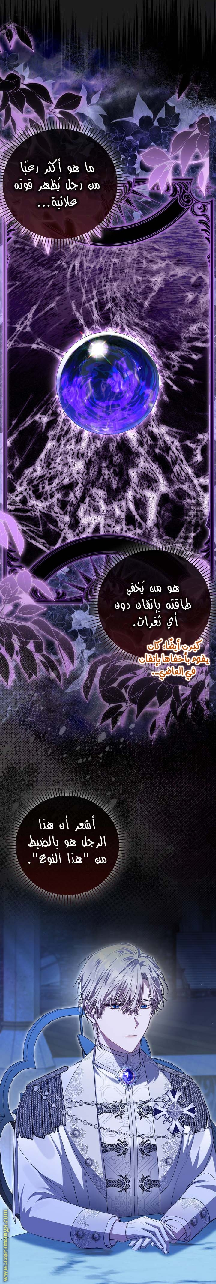 الصفحة 26